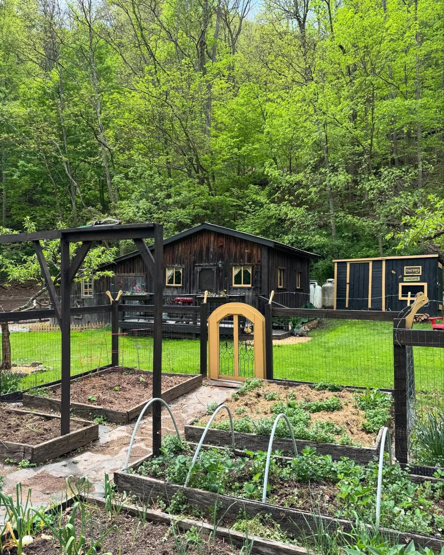 Villa The Renovated Barn At Seneca Rocks Exterior foto